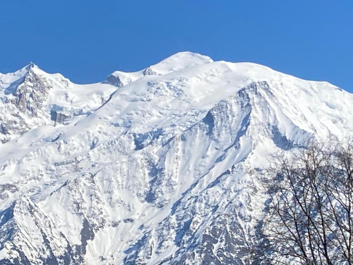 Les Edelweiss Mont-Blanc - Gite Classe 3 Etoiles Passy  Esterno foto
