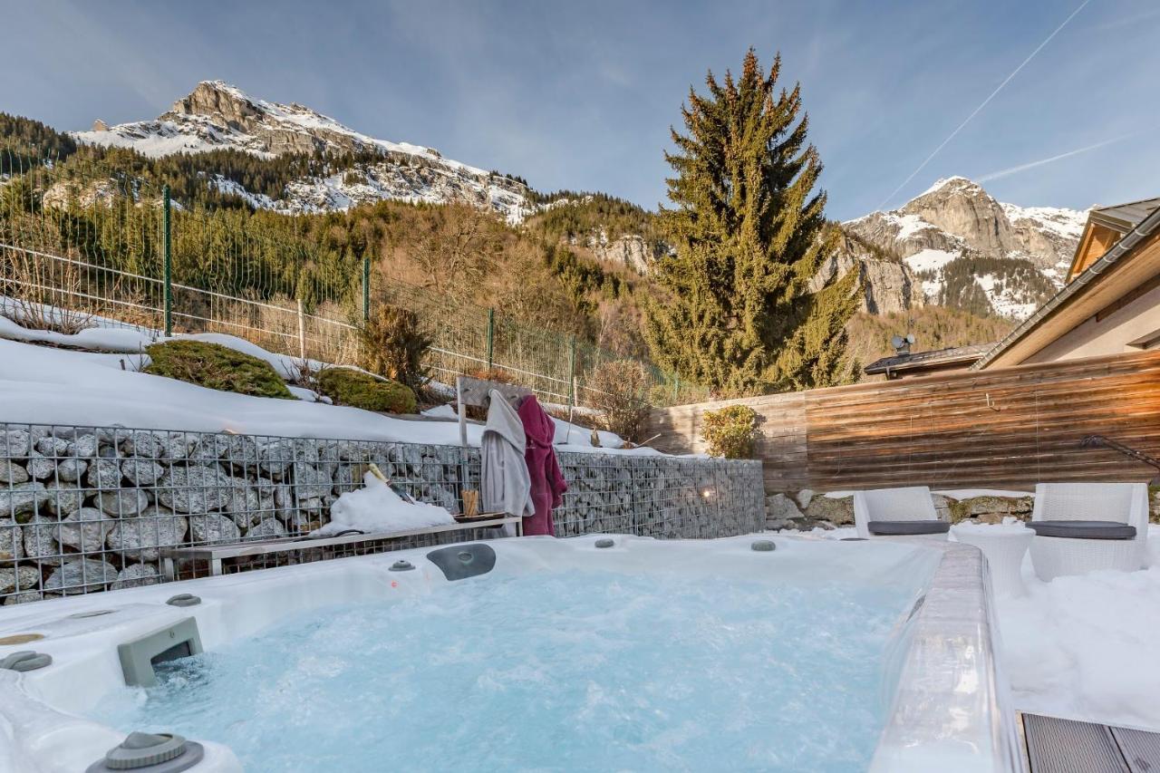 Les Edelweiss Mont-Blanc - Gite Classe 3 Etoiles Passy  Esterno foto