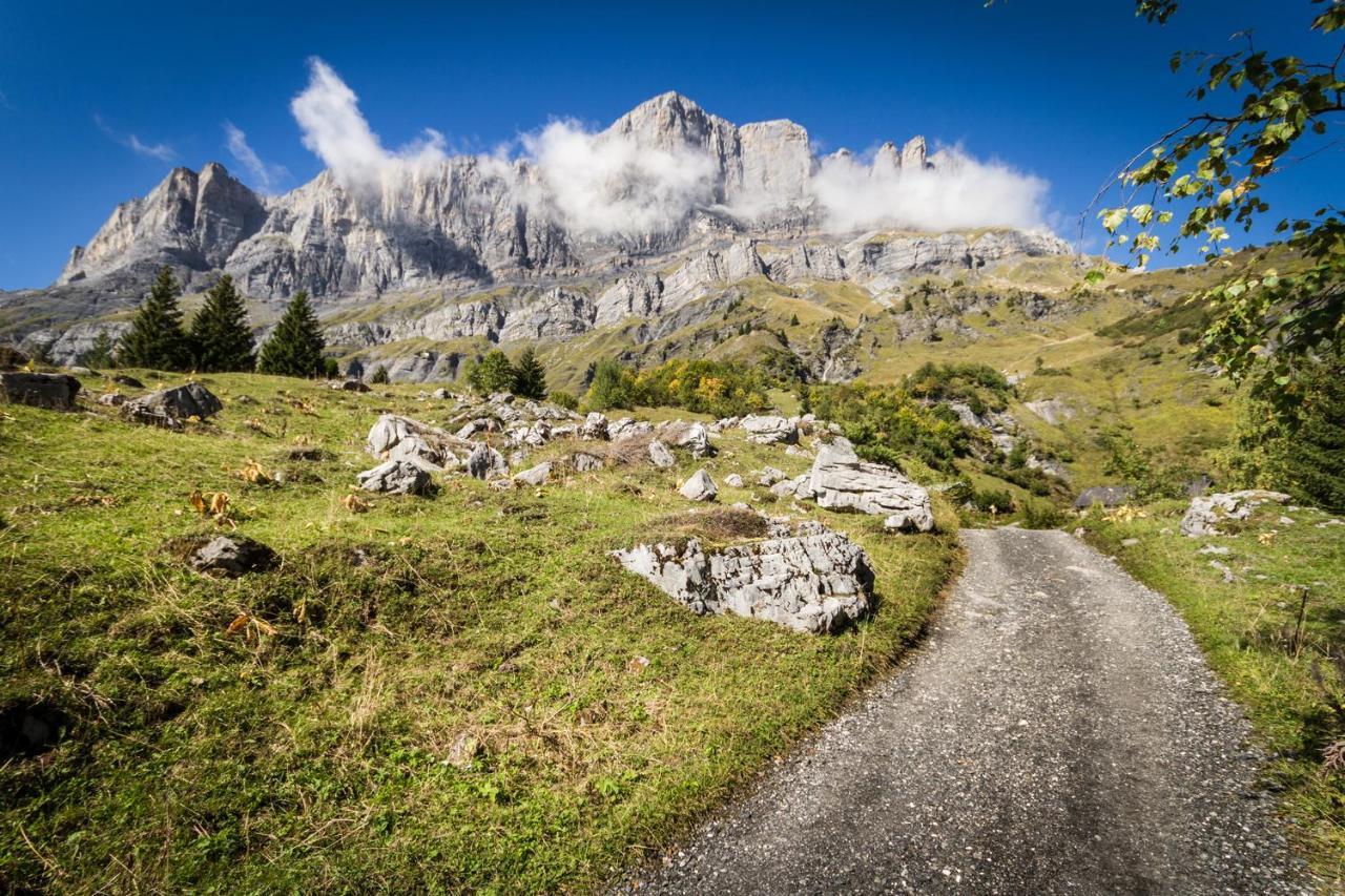 Les Edelweiss Mont-Blanc - Gite Classe 3 Etoiles Passy  Esterno foto
